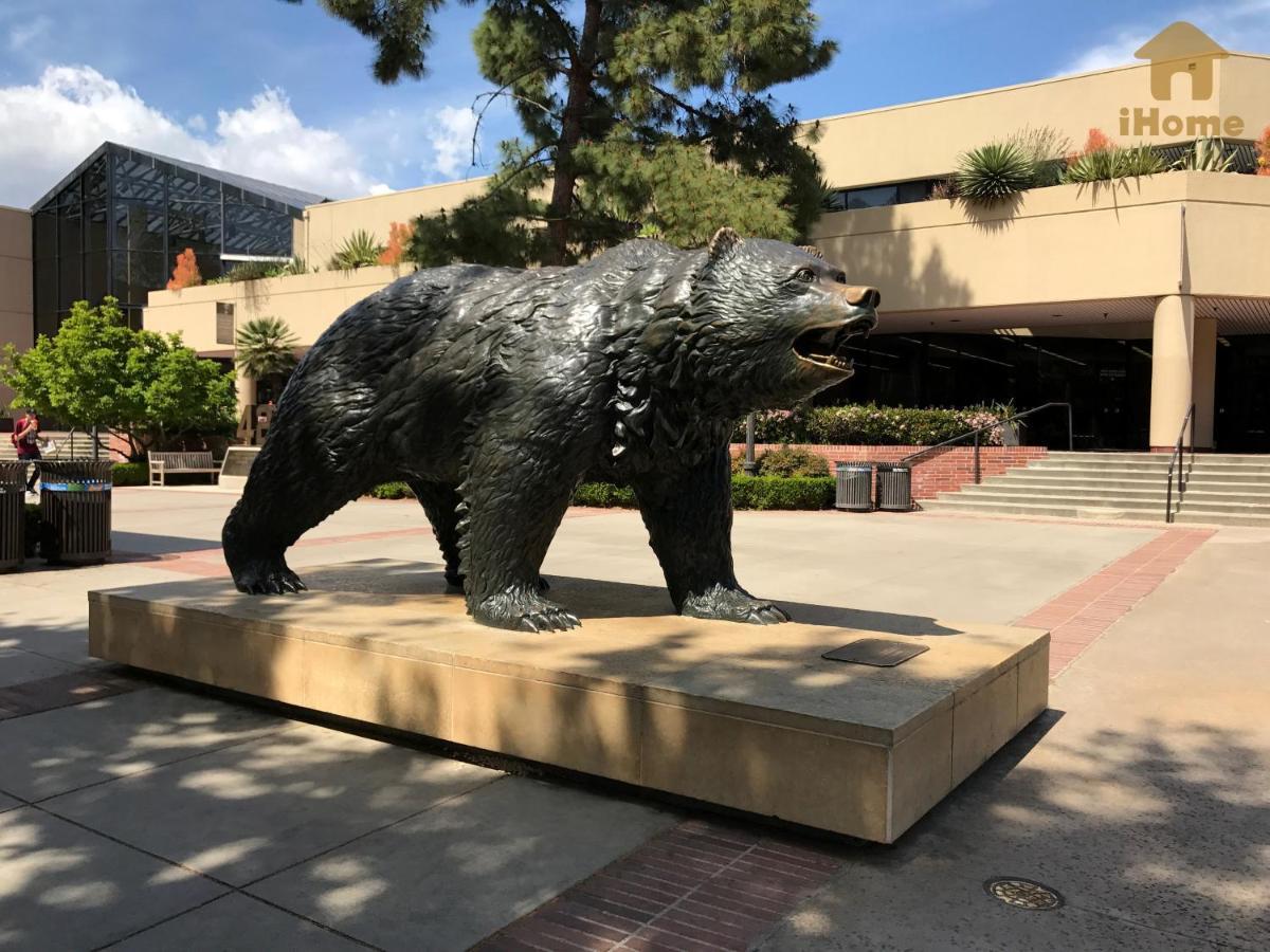 Perfect Apt Near Ucla W Parking Gym Pool Wifi In Westwood B3 Los Angeles Zewnętrze zdjęcie